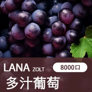 【葡萄】LANA一次性電子煙 |19種口味| 8000大容量抛棄式電子煙 |可充電|台灣正品現貨-711貨到付款