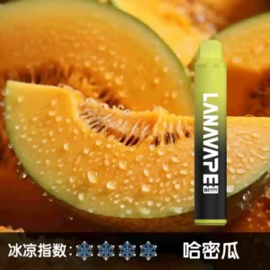 【哈密瓜】LANA一次性電子煙 |19種口味| 8000大容量抛棄式電子煙 |可充電|台灣正品現貨-711貨到付款