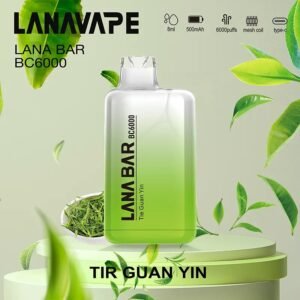 【冰凍鐵觀音】 LANA6000口抛棄式|一次性電子煙| 混色設計| 大口數|可充電|台灣正品現貨-711貨到付款