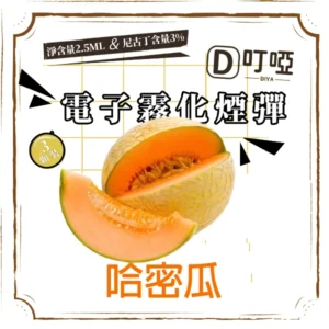【哈密瓜味】DIYA 叮啞通用煙彈 三顆盒裝/通用叮啞主機、一代主機 /台灣正品現貨、711貨到付款