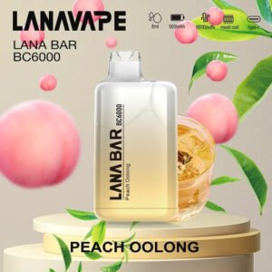【冰凍水蜜桃】 LANA6000口抛棄式|一次性電子煙| 混色設計| 大口數|可充電|台灣正品現貨-711貨到付款