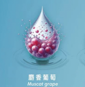 【麝香葡萄】SWAG電子煙煙彈 2ml-3盒裝｜獨立包裝 |通用1代電子煙主機