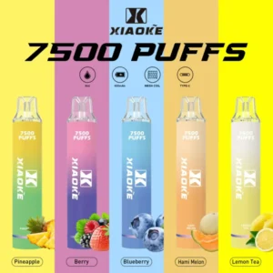 🔥梟客XIAOKE🔥7500口大容量一次性拋棄式電子煙